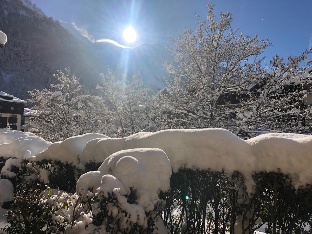 Apartmán Chamonix 27 - Au Centre Vue Mont Blanc Et Jardin Exteriér fotografie